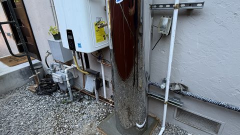 IMG_3894